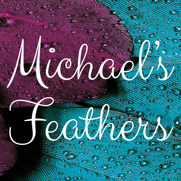 Michael's Feathers