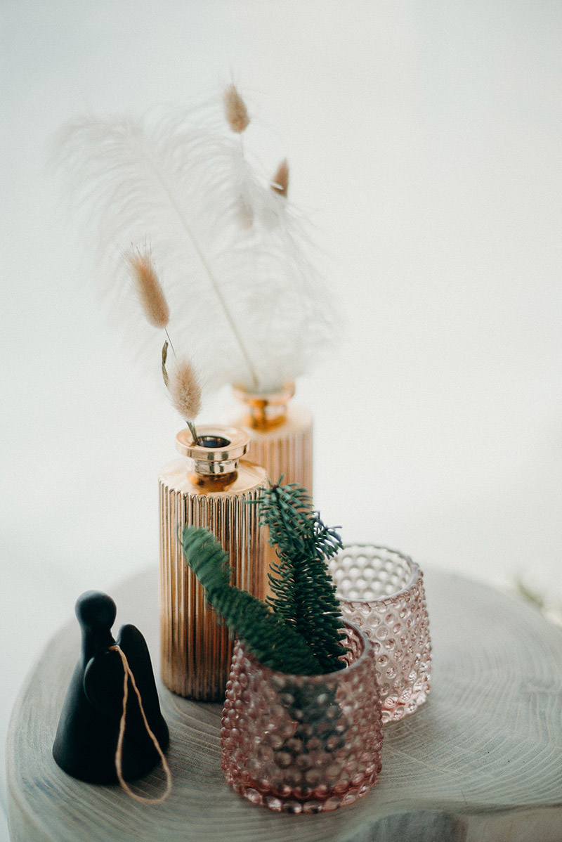 Feather and plants in vases